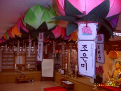 [도선스님] 금강사 대웅전에 연인합장 연꽃등 달기(6개월)